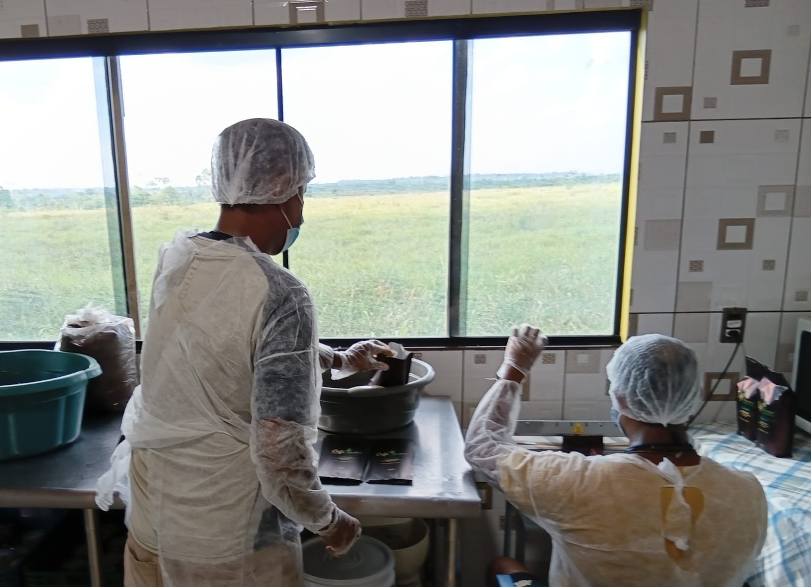 Producao do Cafe Com Sabor de Esperanca